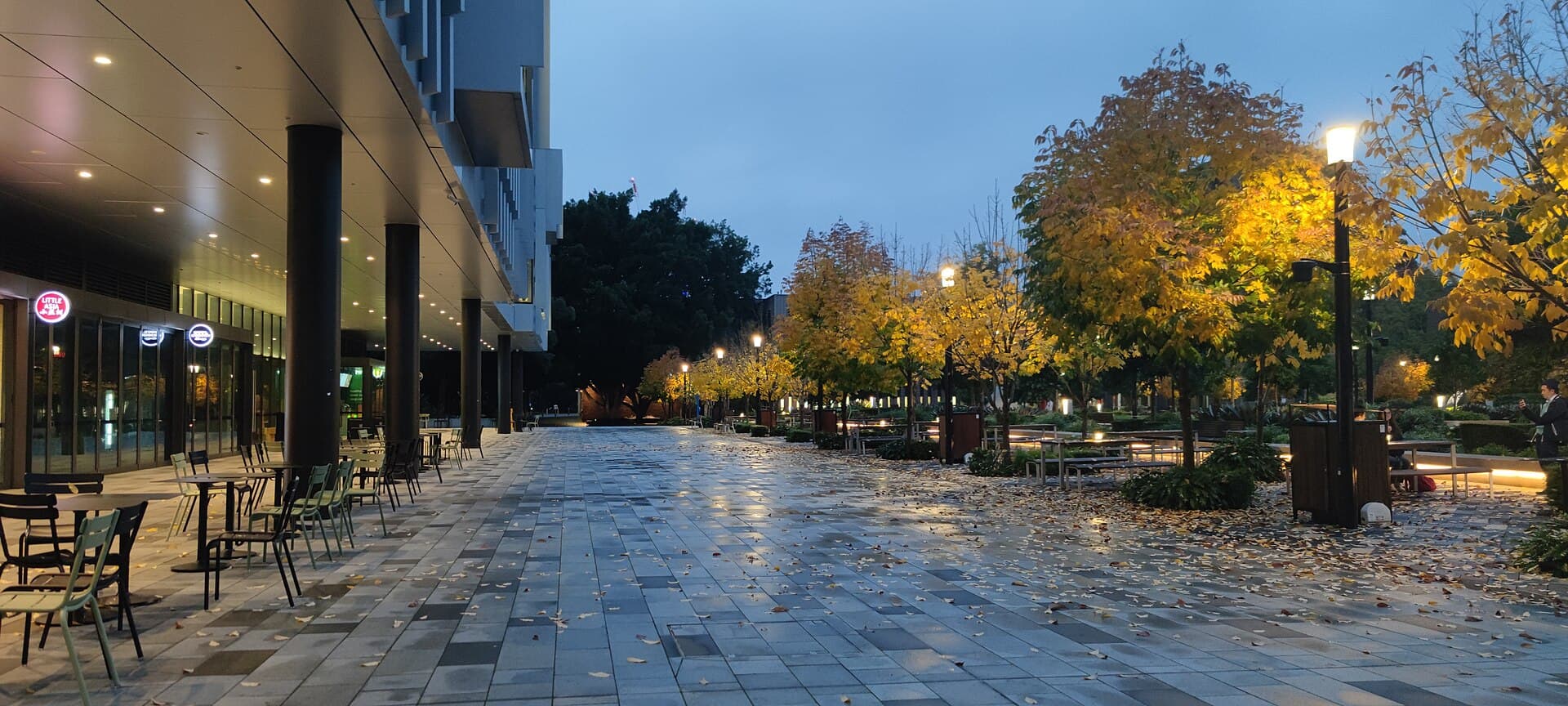 Macquarie University central courtyard